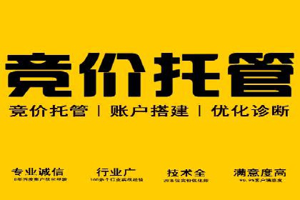 sem竞价广告的胜利之道：多行业成功案例剖析